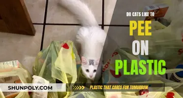 Plastic: Why Cats Pee on It