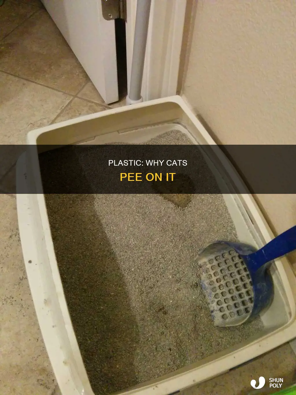 do cats like to pee on plastic