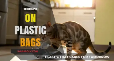 Why Cats Pee on Plastic Bags: Causes and Solutions