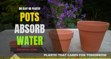 Clay vs Plastic Pots: Which Absorbs More Water?