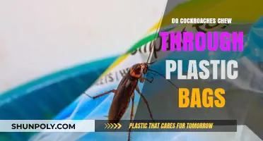 Can Cockroaches Chew Through Plastic Bags? Facts and Prevention Tips