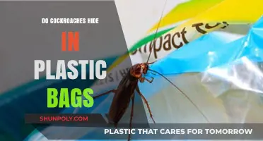 Do Cockroaches Hide in Plastic Bags? Unveiling the Truth