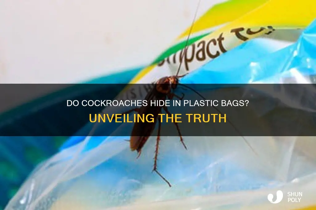 do cockroaches hide in plastic bags