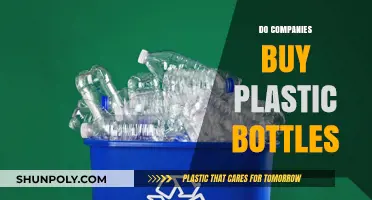 Do Companies Purchase Plastic Bottles? Exploring Recycling and Reuse Practices