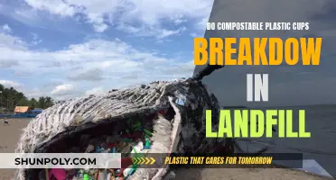 Compostable Plastic Cups: Biodegradable in Landfills?