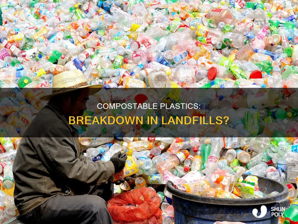 do compostable plastics break down in landfills