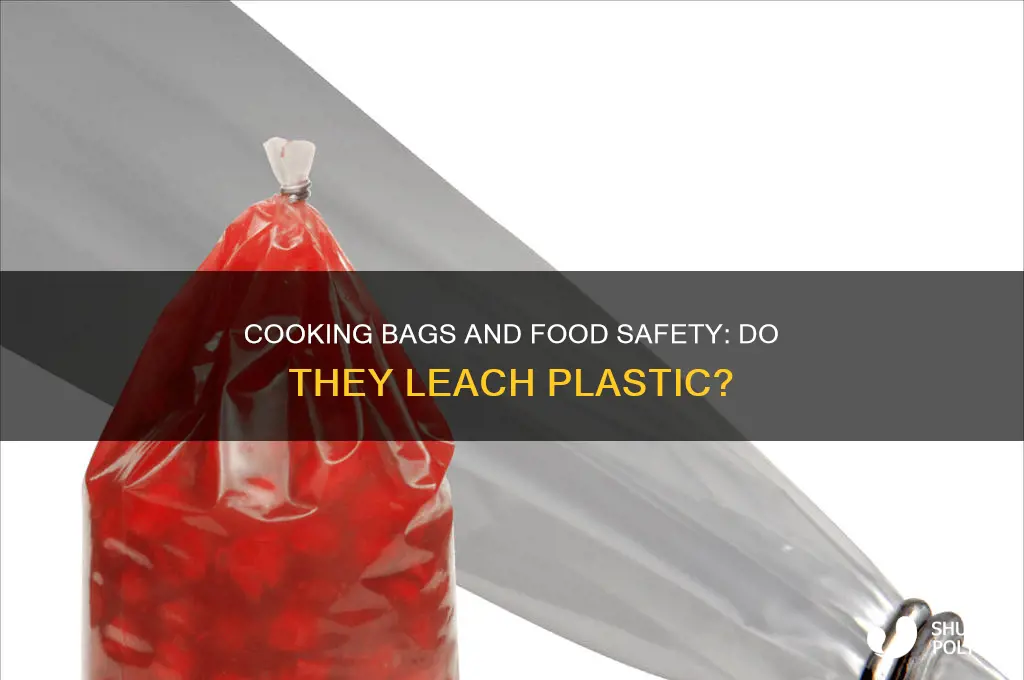 do cooking bags leach plastic into the food