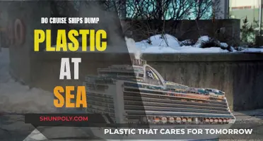 Cruise Ships: Plastic Dumping at Sea?