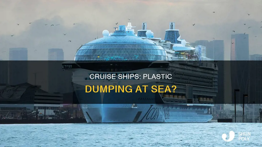 do cruise ships dump plastic at sea