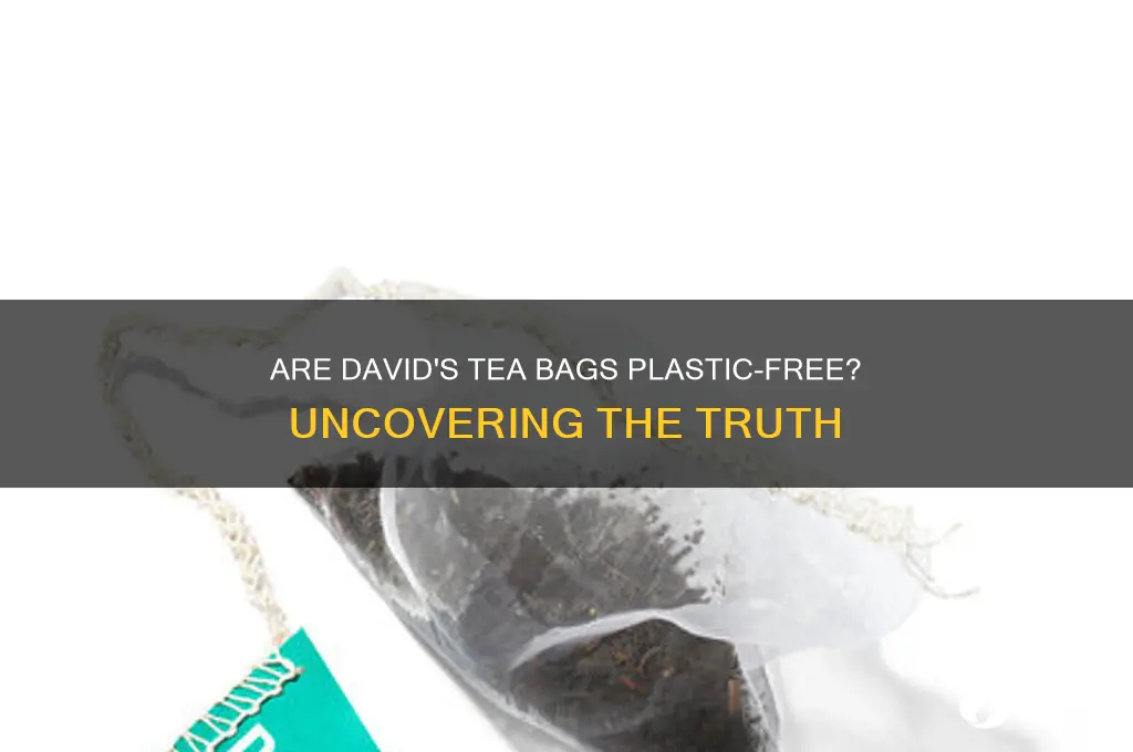 do davids tea bags contain plastic