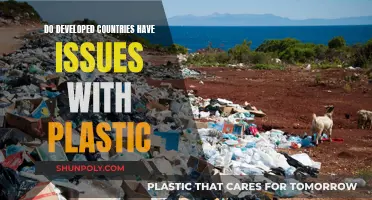 Plastic Problems in Developed Countries: An Overlooked Reality