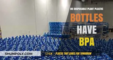Are Disposable Plant-Based Plastic Bottles BPA-Free? What to Know