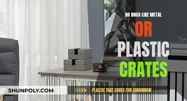 Metal vs Plastic Crates: Which Do Dogs Prefer?