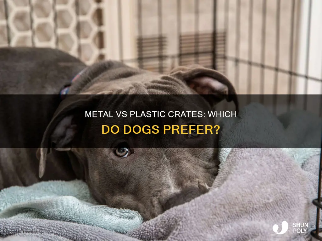 do dogs like metal or plastic crates