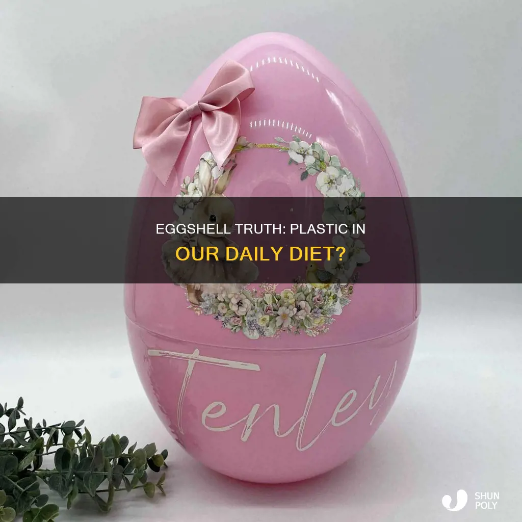 do eggs have plastic in them