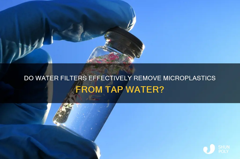 do filters remove plastics from drinking water