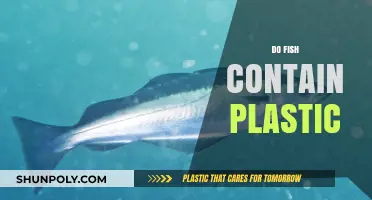 Plastic in Fish: A Growing Concern