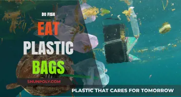 Do Fish Eat Plastic Bags? Uncovering the Truth About Ocean Pollution
