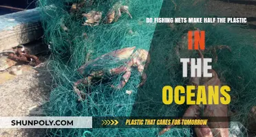Fishing Nets' Role in Ocean Plastic Pollution: Uncovering the Truth