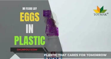 Fleas, Eggs, and Plastic: What's the Connection?