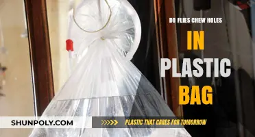 Can Flies Chew Through Plastic Bags? Uncovering the Truth