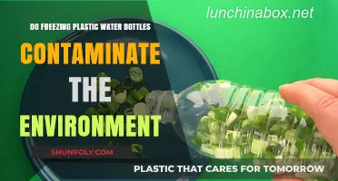 Freezing Plastic Bottles: Environmental Contamination Risks and Sustainable Alternatives