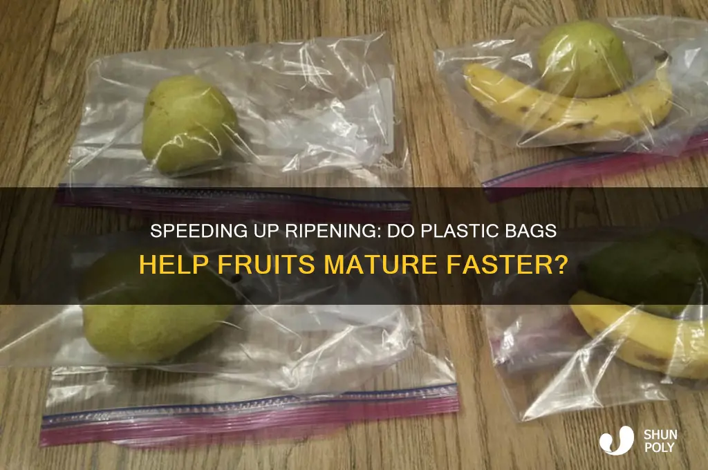 do fruits ripen quicker in plastic bag
