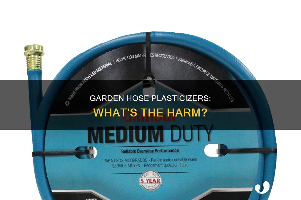 do garden hoses contain plasticizers
