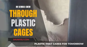 Gerbils and Plastic Cages: Are They Safe Together?