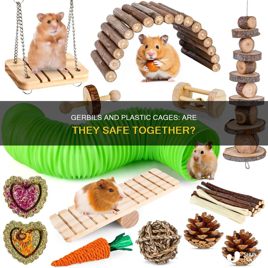 do gerbils chew through plastic cages