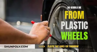 Gerbils and Plastic Wheels: A Deadly Combination?