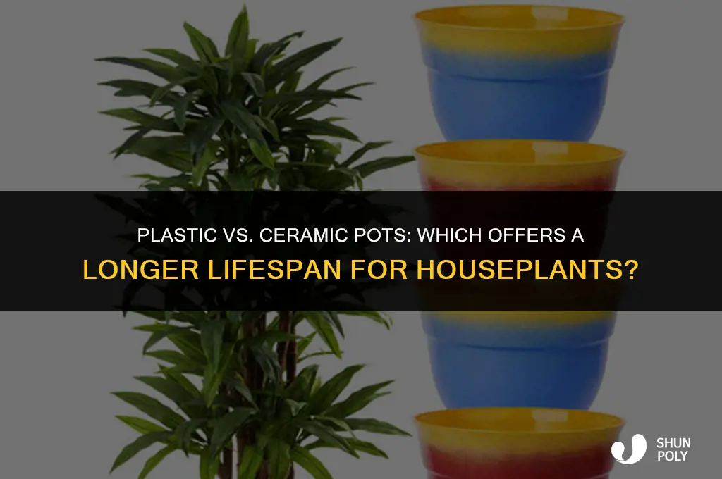 do houseplants live longer in plastic or ceramic pots home