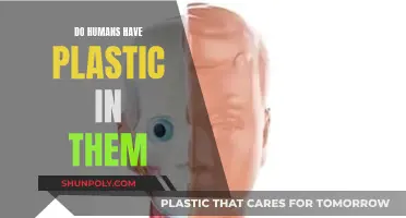 Plastic in Humans: Is It a Reality?