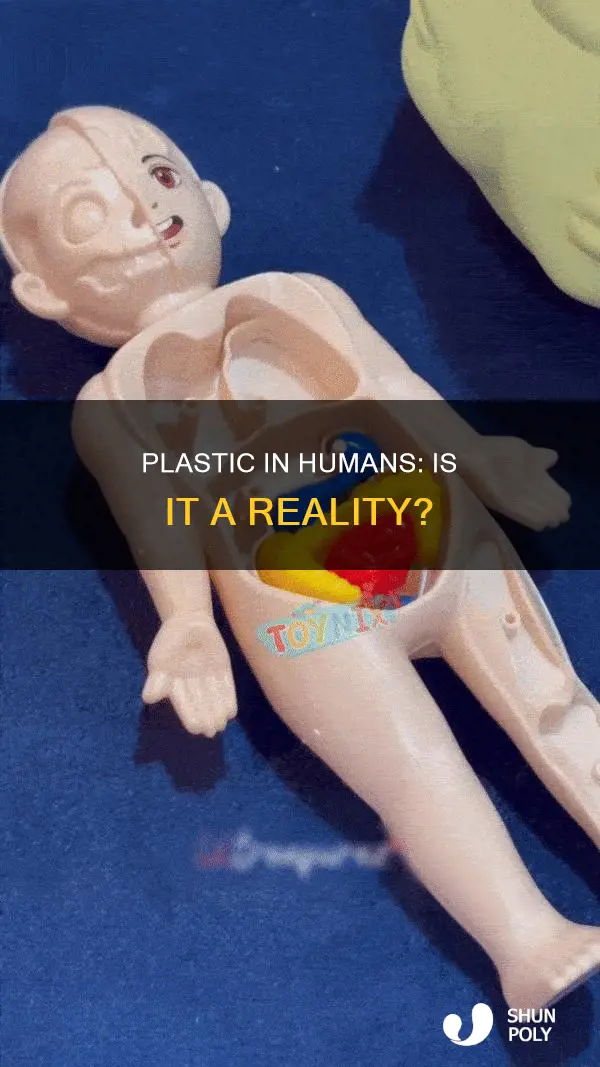 do humans have plastic in them
