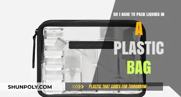 Traveling with Liquids: Do You Need a Plastic Bag?