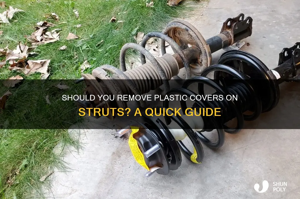 do i have to remove the plastic on the struts