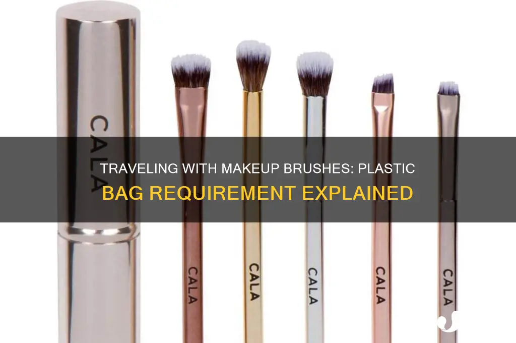 do i have yo put makeup brush in plastic bag
