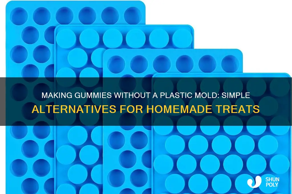 do i need a plastic mold to make a gummy