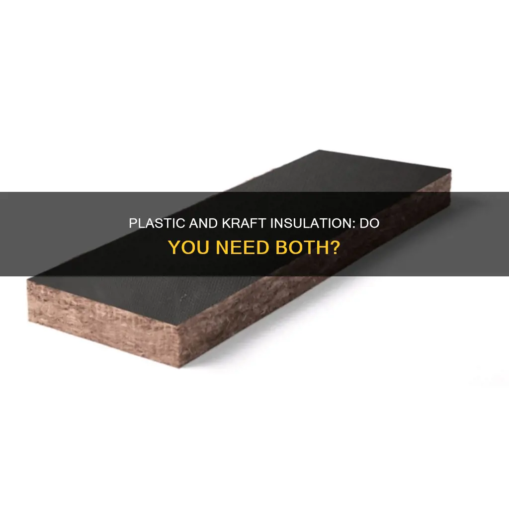 do i need plastic behind kraft insulation