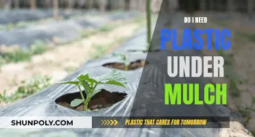 Plastic Under Mulch: Necessary or Not?