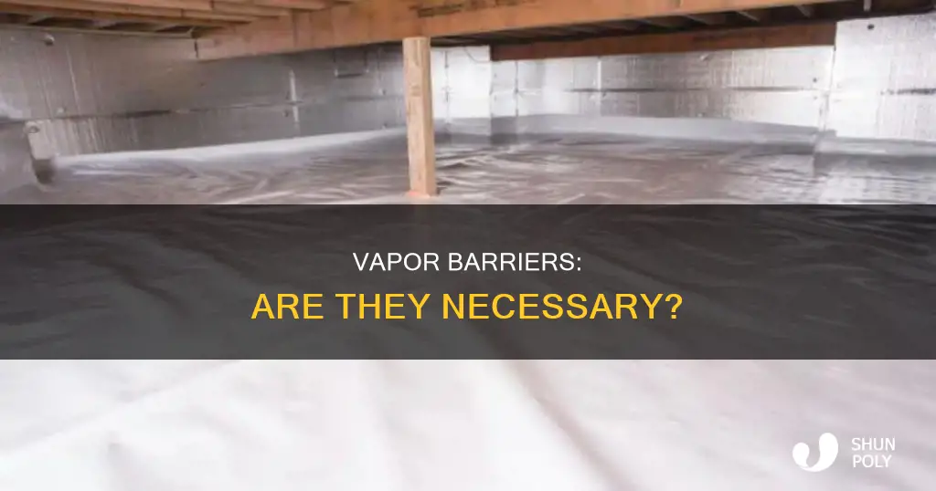 do i need plastic vapor barrier