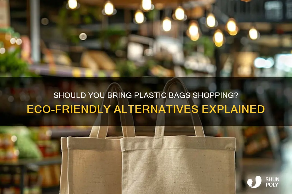 do i need to bring plastic bags shopping