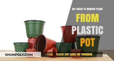 Should You Remove Plants from Plastic Pots? A Gardening Guide