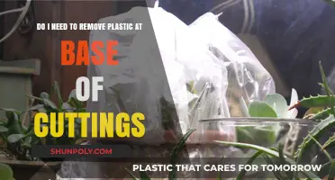 Should You Remove Plastic from Plant Cuttings? A Gardening Guide