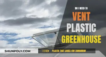 Venting a Plastic Greenhouse: Yes or No?