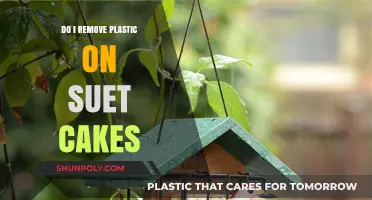 Should You Remove Plastic Wrap from Suet Cakes? A Guide