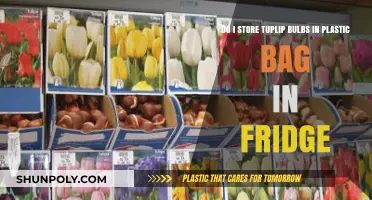 Storing Tulip Bulbs: Should You Use a Plastic Bag and Fridge?