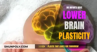 Brain Plasticity in Infants: Is It Lower?