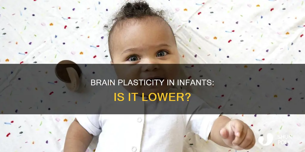 do infants have lower brain plasticity