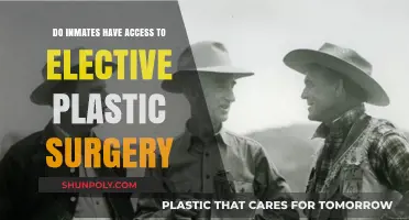 Do Inmates Have Access to Elective Plastic Surgery in Prison?
